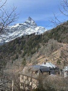IMG_4838 IMG_4838